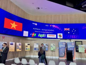 Toan canh co co 2 nuoc 1