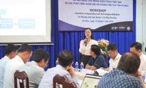 Interview Series: Drought and Saltwater Intrusion in the Mekong Delta: International Science, Local Adaptation Hien photo